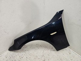 Aripa stanga fata Bmw 5 (E60) [Fabr 2004-2010] CARBONSCHWARZ METAL