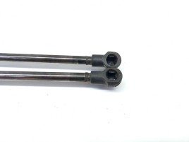 Amortizor haion 7250308 Bmw 3 (E90) [Fabr 2005-2011] 2.0 N47 
