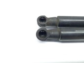 Amortizor haion 7250308 Bmw 3 (E90) [Fabr 2005-2011] 2.0 N47 