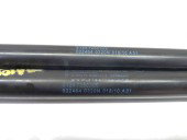 Amortizor haion 7250308 Bmw 3 (E90) [Fabr 2005-2011] 2.0 N47 