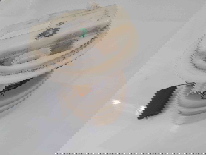 Pompa combustibil OEM Dacia Sandero [Fabr 2008-2012] 1.6 mpi 