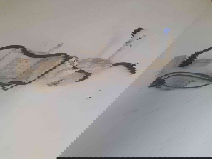 Vas lichid parbriz 3M5113K163 Ford Kuga I [Fabr 2008-2012] 