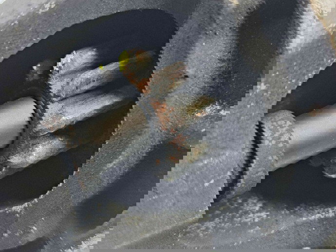  Electromotor 9 dinti Opel Antara [Fabr 2006-2017] OEM 2.0 TDI Z20DMH   