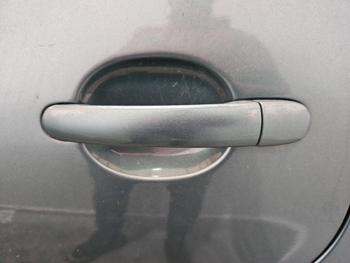Maner usa stanga spate Volkswagen Polo (9N) [Fabr 2001-2008] LA6L