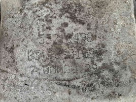 Racitor gaze 55219498 Opel Corsa D [Fabr 2006-2013] 1.3 cdti