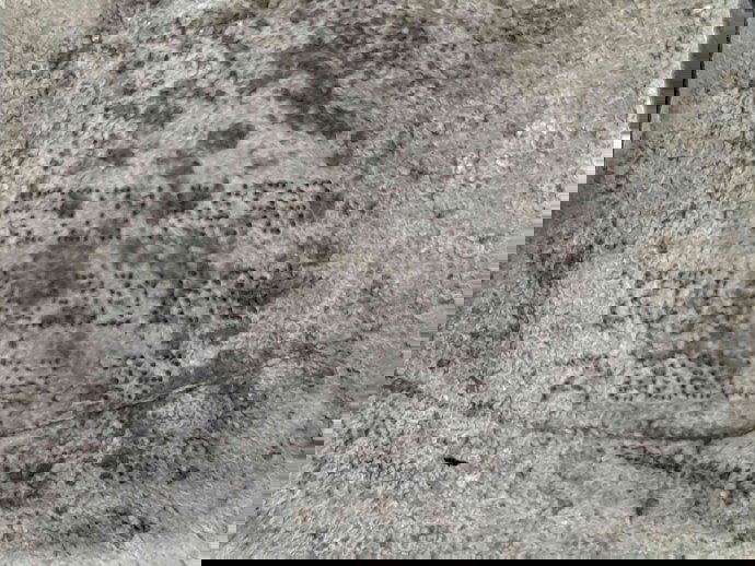 Racitor gaze 55219498 Opel Corsa D [Fabr 2006-2013] 1.3 cdti