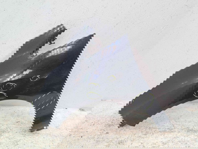 Aripa stanga fata Ford B-Max [Fabr 2012-prezent] Panther Black Metall