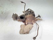 Turbina OEM Honda Acord VII [Fabr 2002-2012] 2.2 