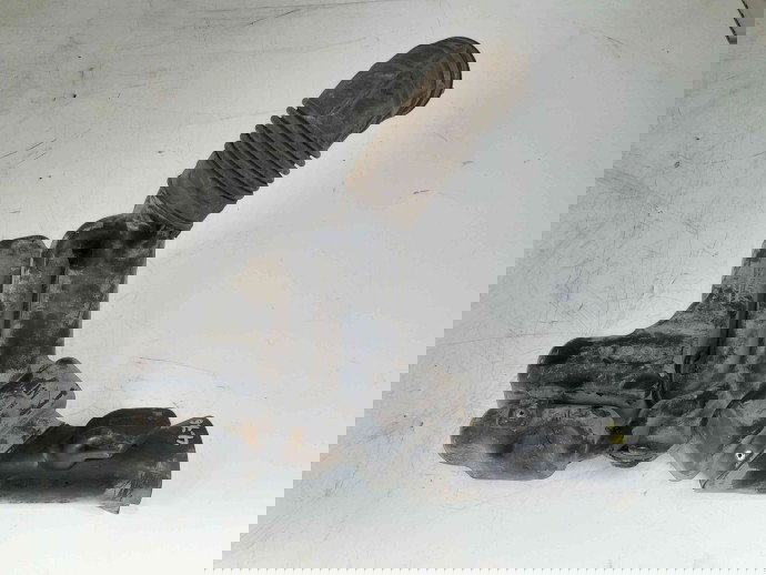 Rezervor vacuum OEM Honda Acord VII [Fabr 2002-2012] 2.2