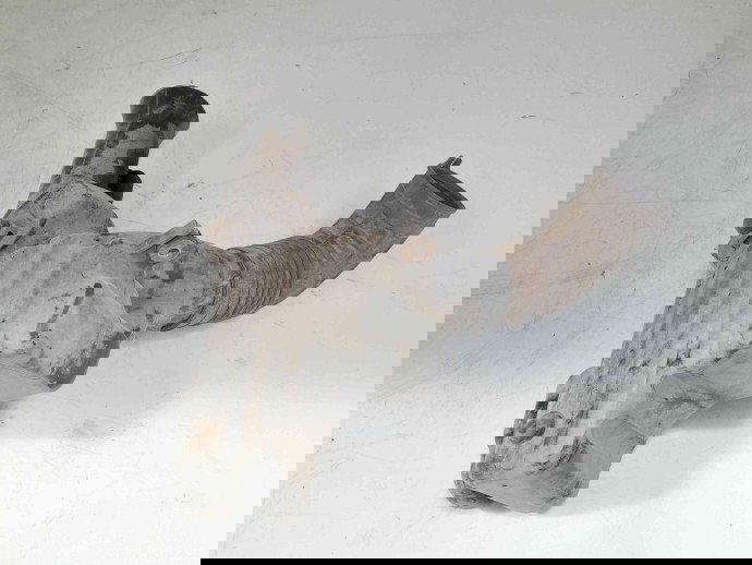 Rezervor vacuum OEM Honda Acord VII [Fabr 2002-2012] 2.2