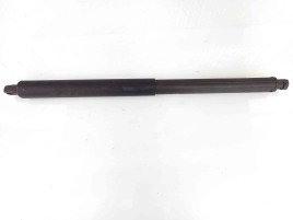 Amortizor haion OEM Bmw X5 (E70) [Fabr 2007-2013] 