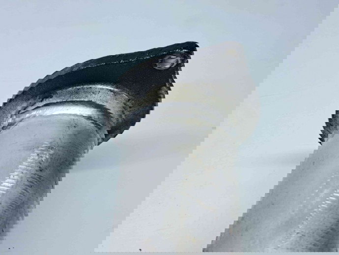 Tub intercooler Audi Q7 (4MB) [ Fabr 2015-prezent] 059145673BR 3.0 TDI CRTC 200KW / 272CP  