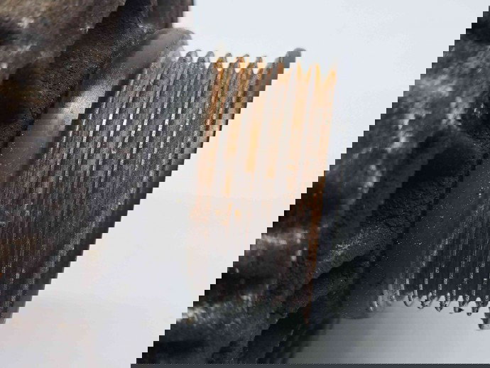 Alternator Opel Astra J [Fabr 2009-2015] 13502595 1.6 Benz A16XER   