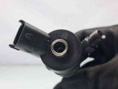 Injector Hyundai Santa Fe 2 (CM) [Fabr 2005-2012] 33800-27800 | 0445110254 2.2 TCI D4EB   