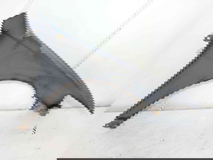 Aripa stanga fata OEM Honda Acord VII [Fabr 2002-2012] 