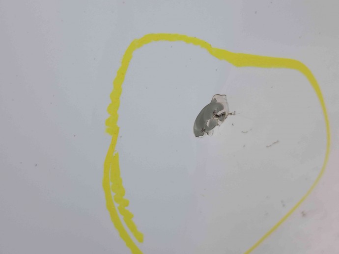 Capota Ford Mondeo 4 [Fabr 2007-2015] Frozen White