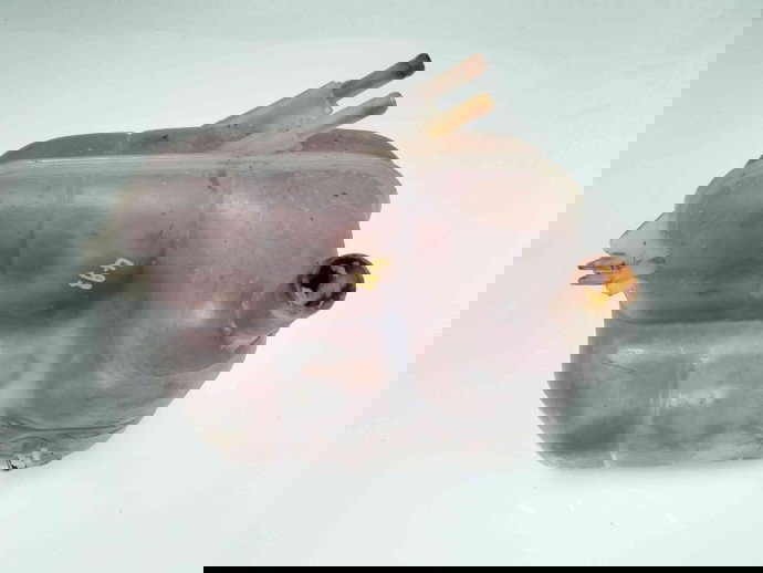 Vas expansiune OEM Opel Astra H Combi [Fabr 2004-2009] 