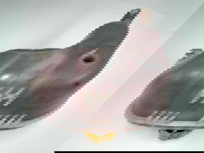 Vas expansiune OEM Opel Astra H Combi [Fabr 2004-2009] 