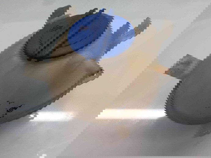 Vas expansiune 1K0121407A Skoda Octavia 2 Combi (1Z5) [Fabr 2004-2013] 