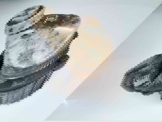 Pompa servodirectie 13192897  Opel Astra H Combi [Fabr 2004-2009] 1.7 CTDI 01328035