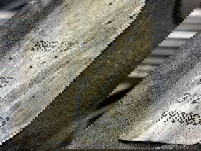 Cutie transfer Nissan X-Trail (T30) [Fabr 2001-2007] 8H513 | YY00633 2.2 YD22ETI   