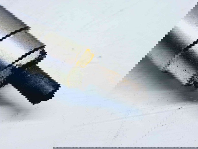 Injector Nissan X-Trail (T30) [Fabr 2001-2007] 16600ES60A 2.2 YD22ETI   