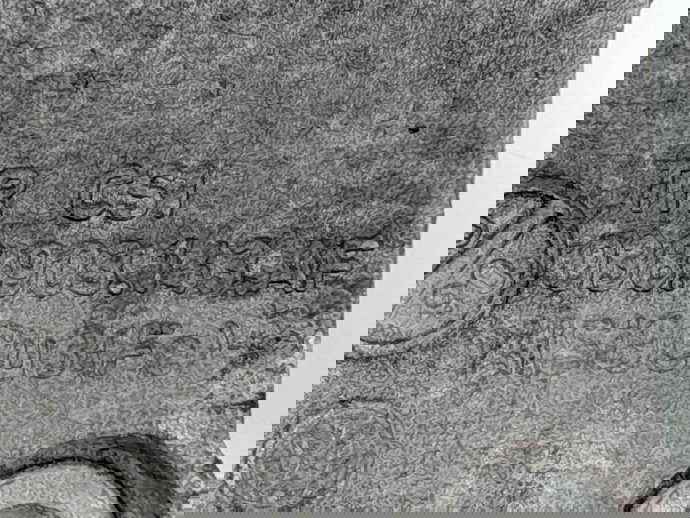 Suport accesorii 038903143AF  Skoda Octavia 2 Combi (1Z5) [Fabr 2004-2013] 2.0 TDI  BMM 064408