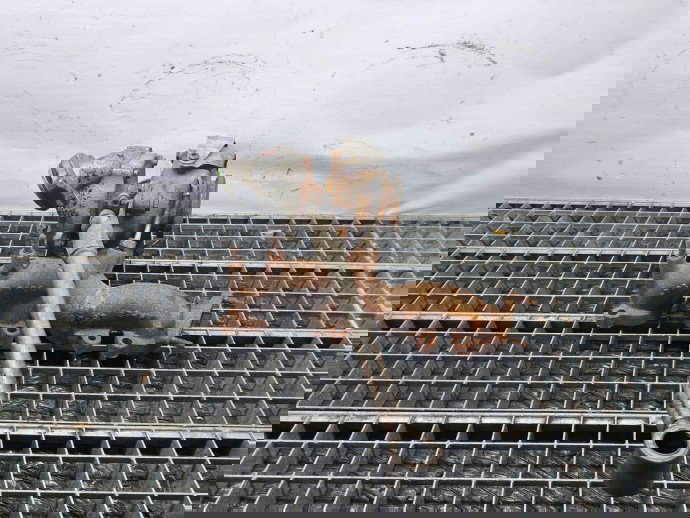 Turbina Volkswagen Passat B6 (3C2) [Fabr 2005-2010] 03L253016F 2.0 TDI CBAB 103KW / 140CP  