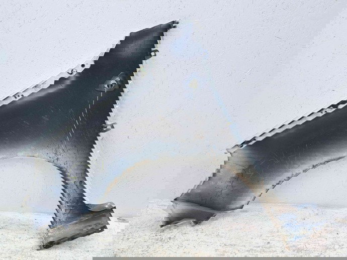 Aripa dreapta fata Renault Kangoo 2 Maxi (F61) [Fabr 2008-2022] O389