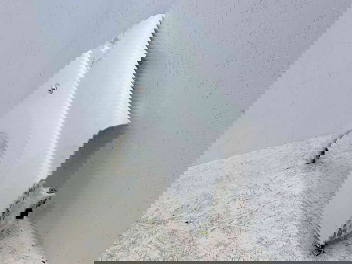 Aripa dreapta fata Citroen Jumpy (II) [Fabr 2007-prezent] EWP