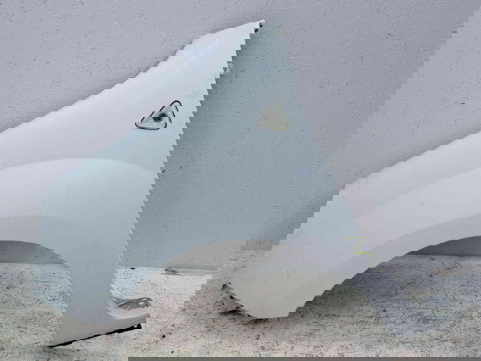 Aripa stanga fata Renault Kangoo 2 Maxi (F61) [Fabr 2008-2022] O389