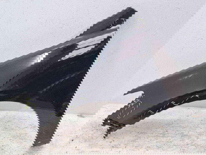 Aripa stanga fata Hyundai Santa Fe 2 (CM) [Fabr 2005-2012] OEM