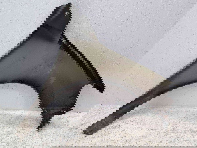 Aripa stanga fata Hyundai Santa Fe 2 (CM) [Fabr 2005-2012] OEM