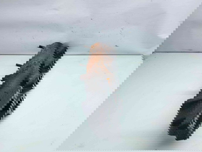 Galerie evacuare Ford Transit (TTG) [Fabr 2014-2023] OEM 2.2 TDCI CYRA  