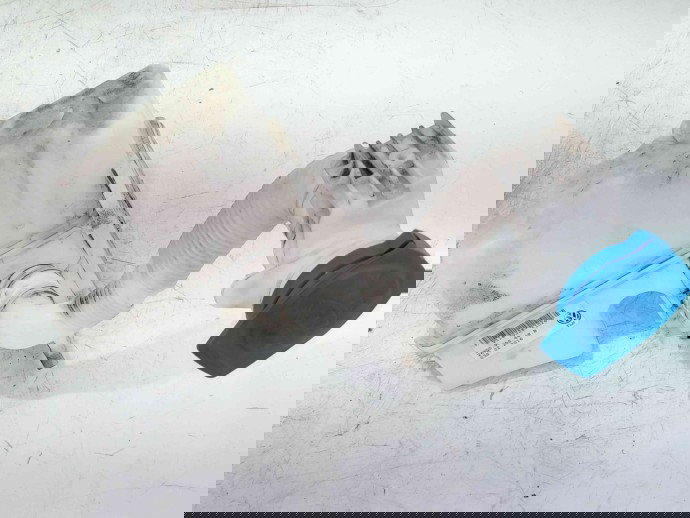 Vas lichid parbriz 3Q0955448B  Volkswagen Passat B8 Variant (3G5) [Fabr 2015-prezent] 2.0 TDI CRLB 