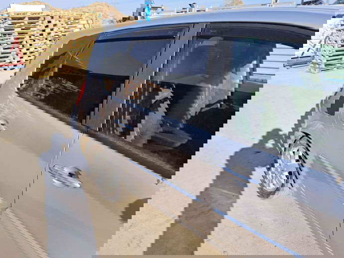 Usa dreapta spate Renault Scenic 1 [Fabr 1999-2003] OEM