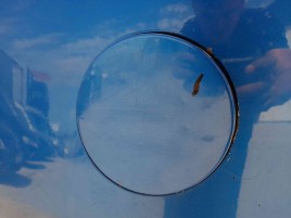 Capac rezervor SUZUKI Swift 3 (MZ, EZ) [Fabr 2005-prezent]  OEM