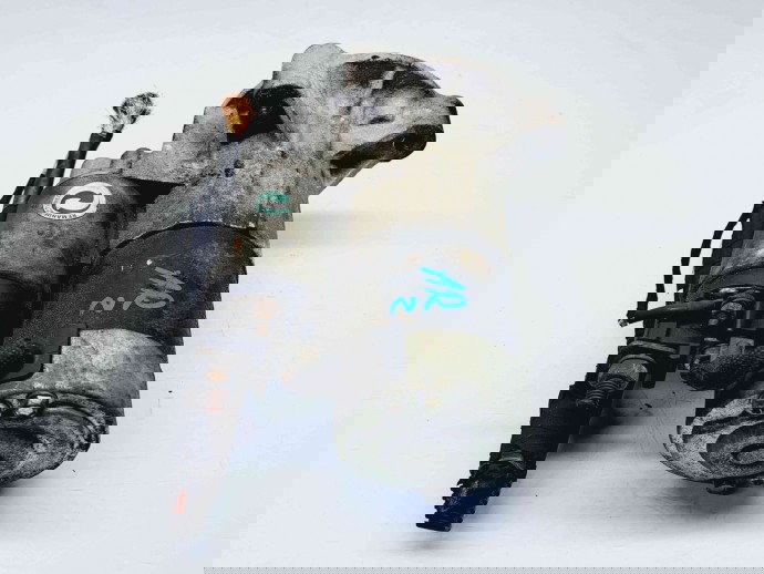  Electromotor 13 dinti Peugeot 508 [Fabr 2010-2018] OEM 2.0 DW10BTED4   