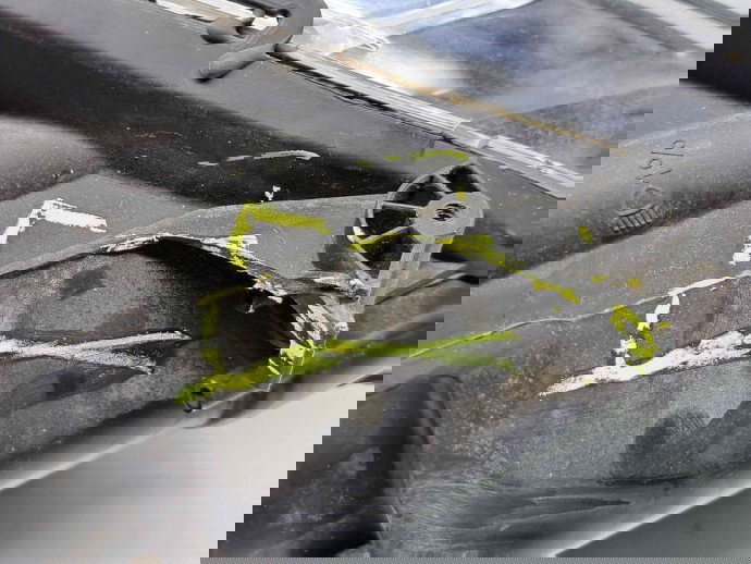  Far stanga Renault Clio 4 [Fabr 2012-2020] 260609493R