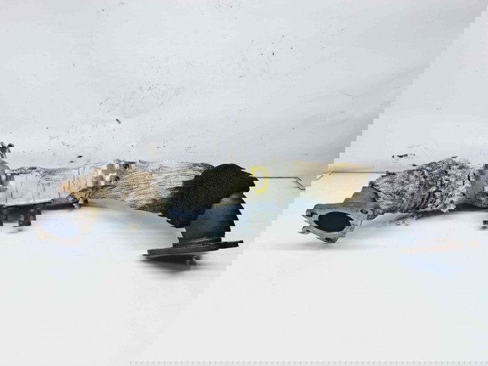 Galerie evacuare LAND ROVER Range Rover Sport (LS) [Fabr 2002-2013] 4H2Q-5K229-FB 2.7 V6 276DT  