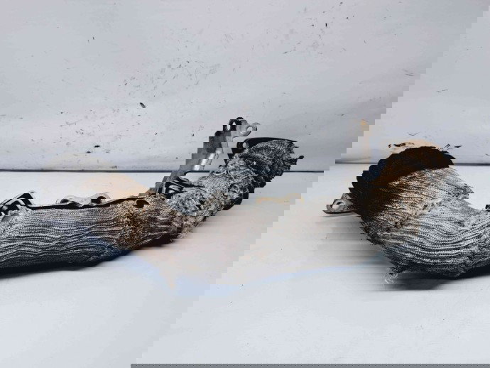 Galerie evacuare LAND ROVER Range Rover Sport (LS) [Fabr 2002-2013] 4H2Q-5K229-FB 2.7 V6 276DT  