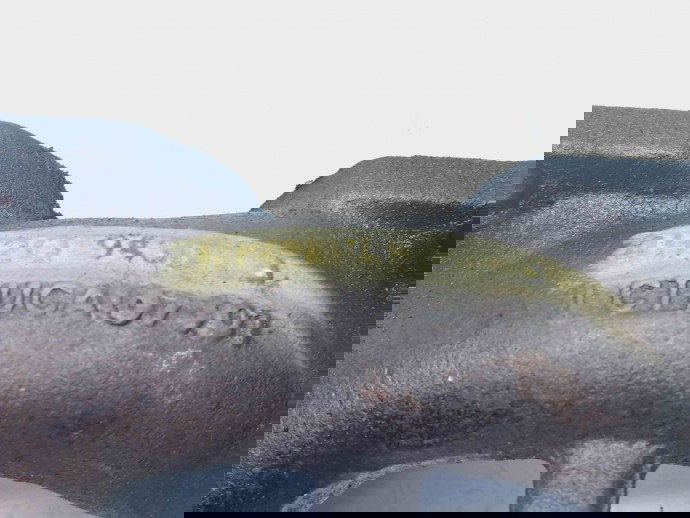 Galerie evacuare LAND ROVER Range Rover Sport (LS) [Fabr 2002-2013] 4H2Q-9430-CB 2.7 V6 276DT 2.7 V6 276DT 140KW / 190CP