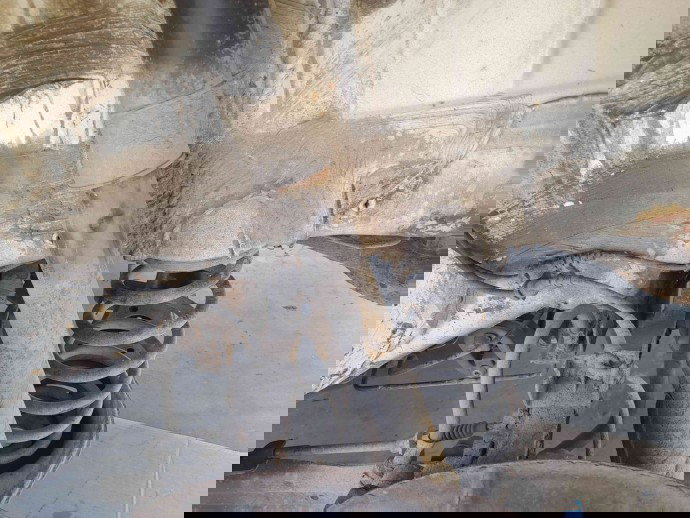 Amortizor stanga spate Skoda Octavia 2 Combi (1Z5) [Fabr 2004-2013]  OEM