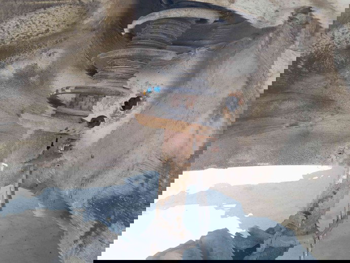 Amortizor stanga fata Skoda Octavia 2 Combi (1Z5) [Fabr 2004-2013]  OEM