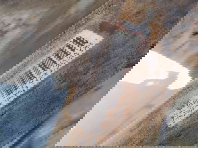 Amortizor stanga fata Skoda Octavia 2 Combi (1Z5) [Fabr 2004-2013]  OEM