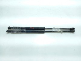 Telescop capota fata, 7060550, Bmw 3 Touring (E91)