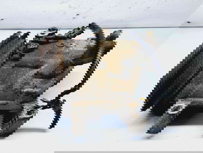 Compresor clima Nissan X-Trail (T30) [Fabr 2001-2007] OEM 2.2 YD22ETI  