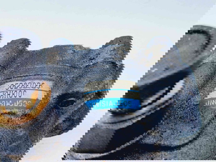 Pompa servodirectie Nissan X-Trail (T30) [Fabr 2001-2007] OEM 2.2 YD22ETI 2.2 YD22ETI 80KW / 109CP