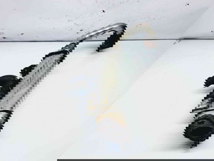 Racitor gaze Nissan X-Trail (T30) [Fabr 2001-2007] OEM 2.2 YD22ETI  