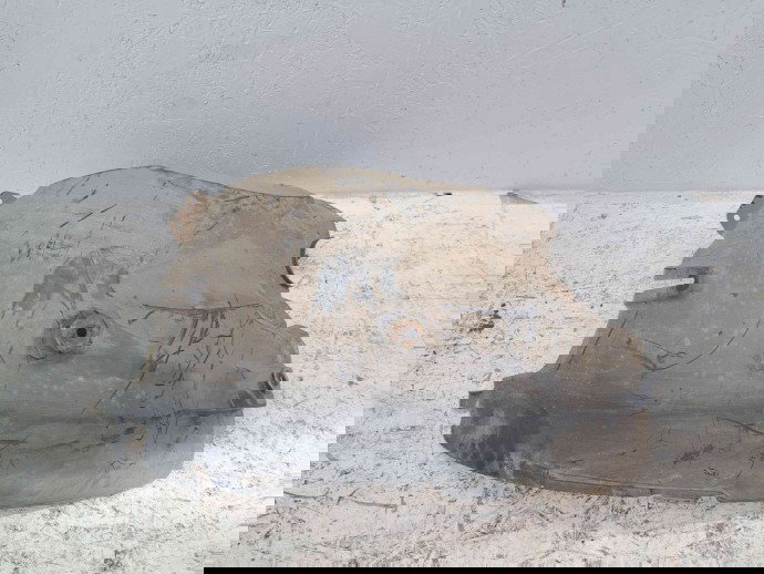 Carenaj roata dreapta fata Mercedes Sprinter 3.5-t (906) [Fabr 2006-2013] A9066841377